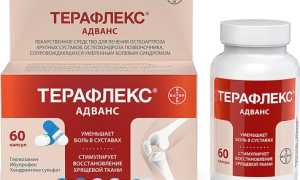 Терафлекс Адванс