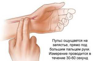 Алгоритм измерения пульса и оценка показателей