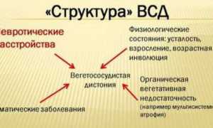 Вегето-сосудистая дистония при беременности и ее опасность