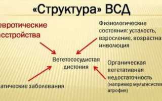 Вегето-сосудистая дистония при беременности и ее опасность