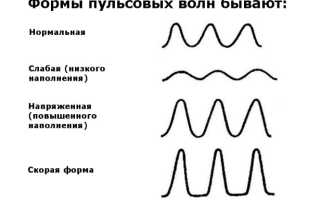 Как правильно посчитать пульс