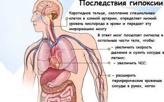 Синусовая брадиаритмия сердца у ребенка и взрослого
